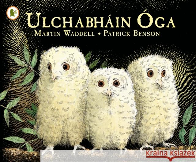 Ulchabhain Oga (Owl Babies) Martin Waddell 9781406341126 Walker Books Ltd