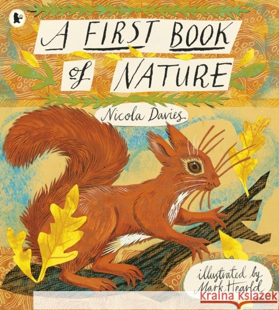 A First Book of Nature Nicola Davies 9781406349160 Walker Books Ltd