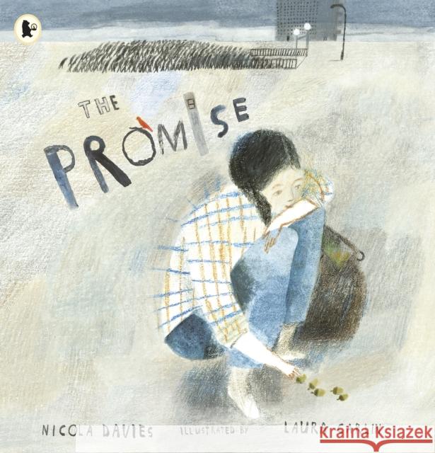 The Promise Nicola Davies 9781406355598