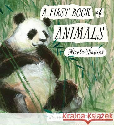 A First Book of Animals Nicola Davies Petr Horacek  9781406359633 Walker Books Ltd