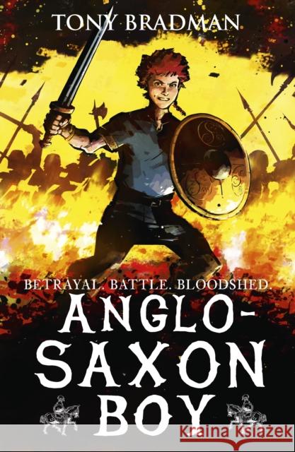 Anglo-Saxon Boy Tony Bradman Sam Hart  9781406363777 Walker Books Ltd