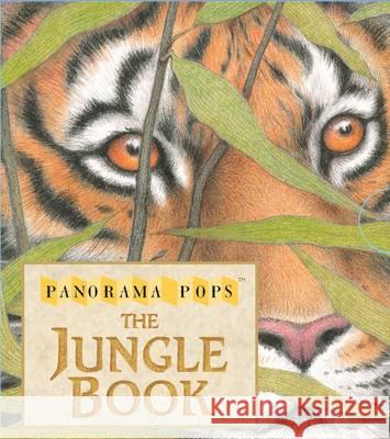 Jungle Book Rudyard Kipling 9781406366983 WALKER BOOKS