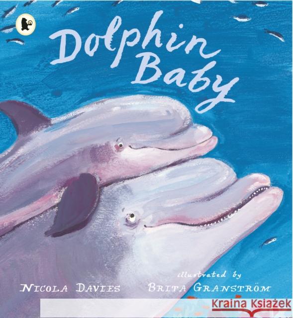 Dolphin Baby  Davies, Nicola 9781406367003 Nature Storybooks