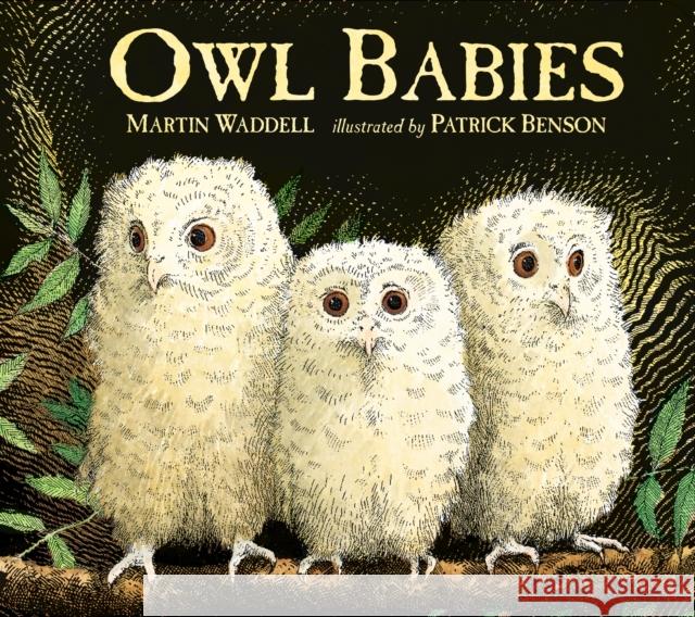 Owl Babies Waddell, Martin 9781406374377