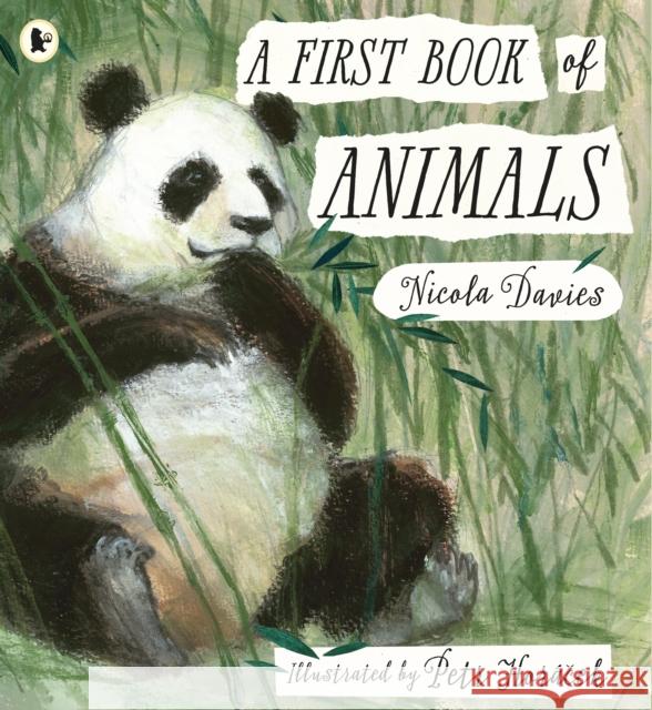 A First Book of Animals Nicola Davies Petr Horacek  9781406378122 Walker Books Ltd