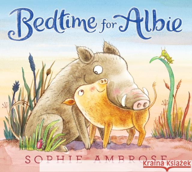 Bedtime for Albie Sophie Ambrose Sophie Ambrose  9781406386226 Walker Books Ltd