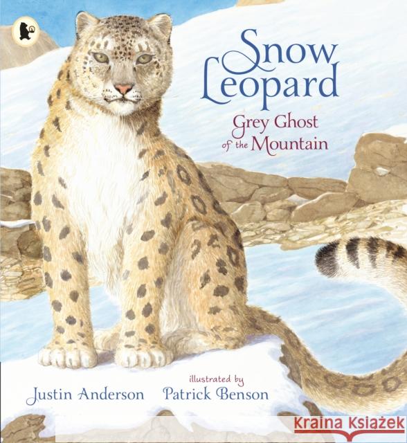 Snow Leopard: Grey Ghost of the Mountain Justin Anderson 9781406391985