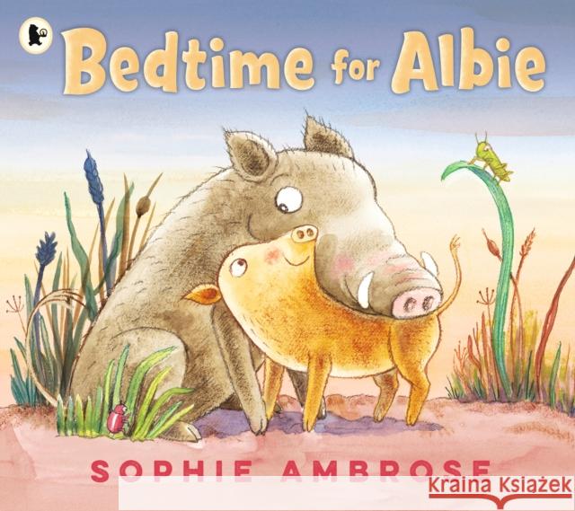 Bedtime for Albie Sophie Ambrose Sophie Ambrose  9781406392883 Walker Books Ltd