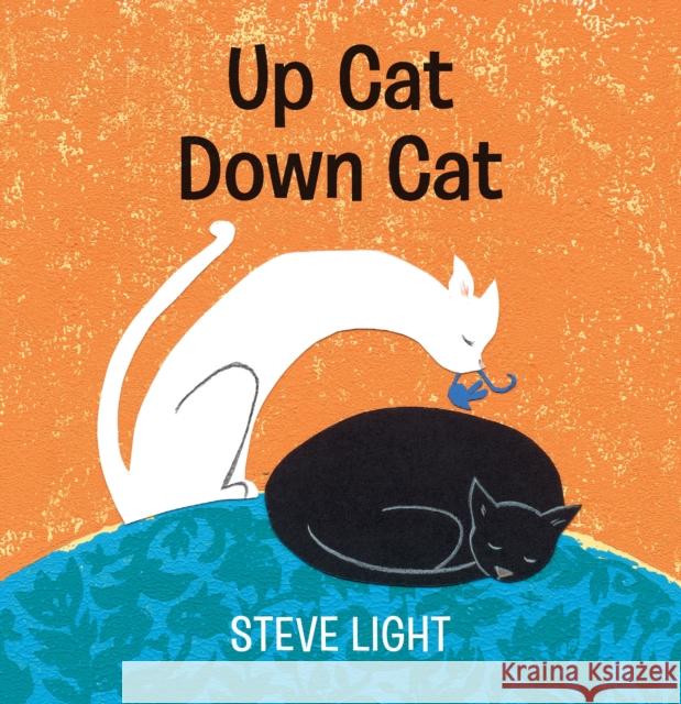 Up Cat Down Cat Steve Light Steve Light  9781406393545 Walker Books Ltd