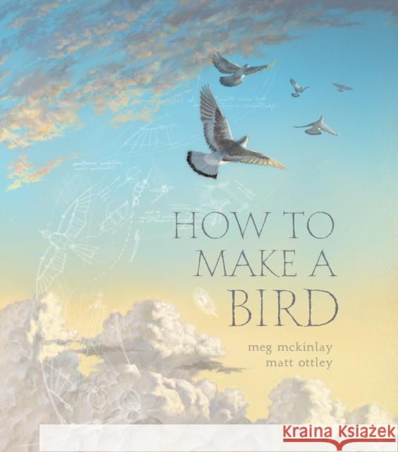 How to Make a Bird Meg McKinlay 9781406397451