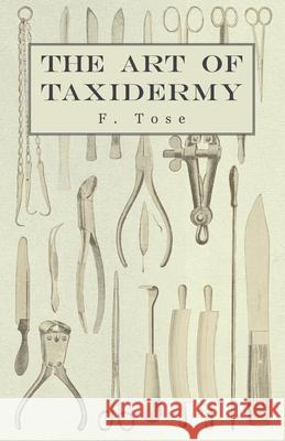 The Art of Taxidermy F. Tose 9781406787351 Read Country Books