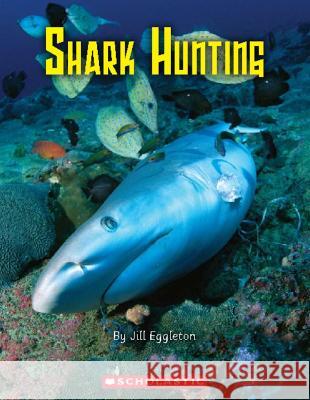 Shark Hunting  9781407126401 Scholastic