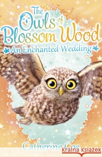 The Owls of Blossom Wood: An Enchanted Wedding Catherine Coe 9781407156682 Scholastic