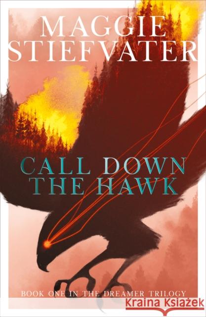 Call Down the Hawk: The Dreamer Trilogy #1 Maggie Stiefvater 9781407194462 Scholastic