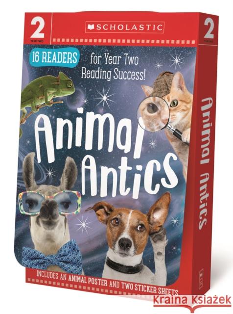 Animal Antics 16 Book Boxset Scholastic 9781407198644