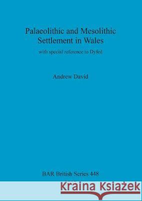 Palaeolithic and Mesolithic Settlement in Wales: with special reference to Dyfed David, Andrew 9781407301464