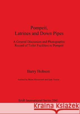 Pompeii, Latrines and Down Pipes Barry Hobson   9781407304687 BAR Publishing