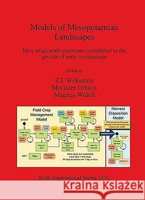 Models of Mesopotamian Landscapes Wilkinson, T. J. 9781407311739 British Archaeological Reports