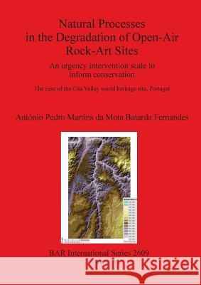 Natural Processes in the Degradation of Open-Air Rock-Art Sites: An urgency intervention scale to inform conservation: The case of the Côa Valley worl Martins Da Mota Batarda Fernandes, Antó 9781407312408 British Archaeological Reports