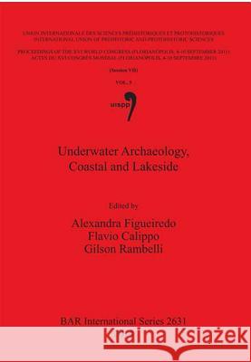 Underwater Archaeology, Coastal and Lakeside: Session VII, Volume 5 Alexandra Figueiredo Flavio Calippo Gilson Rambelli 9781407312682 British Archaeological Reports