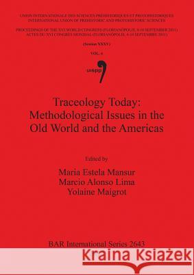 Traceology Today: Methodological Issues in the Old World and the Americas Maria Estela Mansur Marcio Alonso Lima 9781407312828 British Archaeological Reports