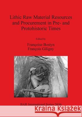 Lithic Raw Material Resources and Procurement in Pre- and Protohistoric Times Bostyn, Françoise 9781407312989 British Archaeological Reports