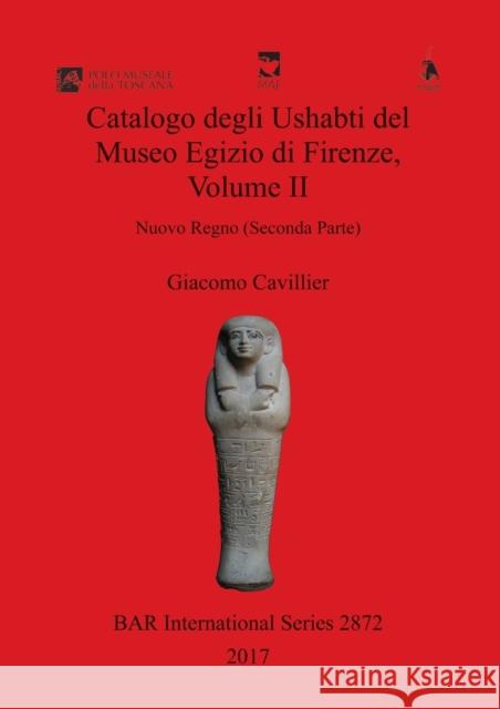 Catalogo degli Ushabti del Museo Egizio di Firenze, Volume II: Nuovo Regno (Seconda Parte) Cavillier, Giacomo 9781407315997
