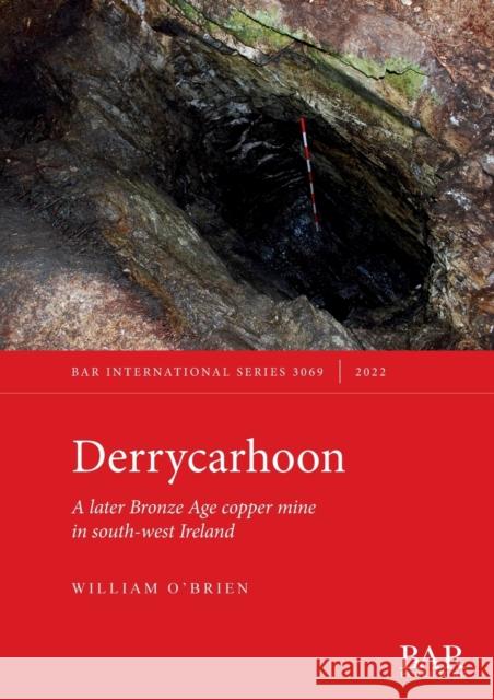 Derrycarhoon: A later Bronze Age copper mine in south-west Ireland William O'Brien   9781407359250 BAR Publishing