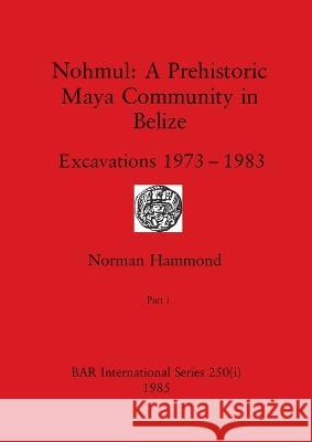 Nohmul-A Prehistoric Maya Community in Belize, Part i: Excavations 1973-1983 Norman Hammond   9781407391199 British Archaeological Reports Oxford Ltd