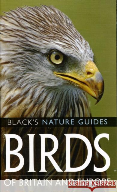 Birds of Britain and Europe Volker Dierschke 9781408101551