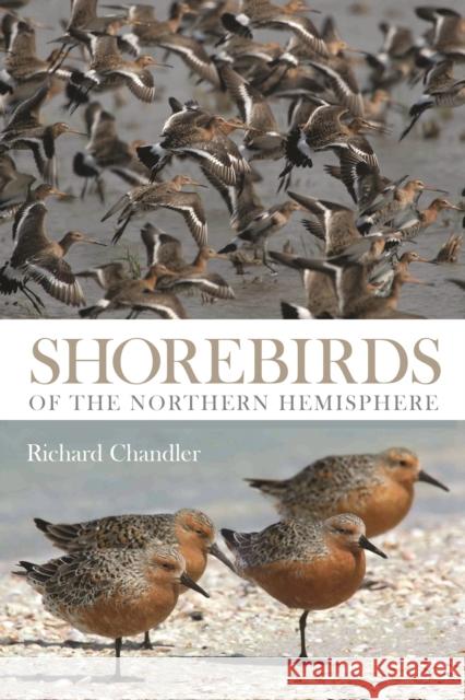 Shorebirds of the Northern Hemisphere Richard Chandler 9781408107904