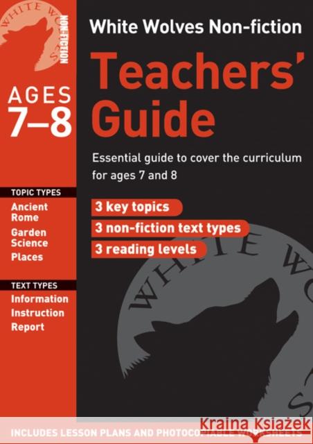 Teacher's Guide: Year 3 Gill Matthews 9781408122587 Bloomsbury Publishing PLC