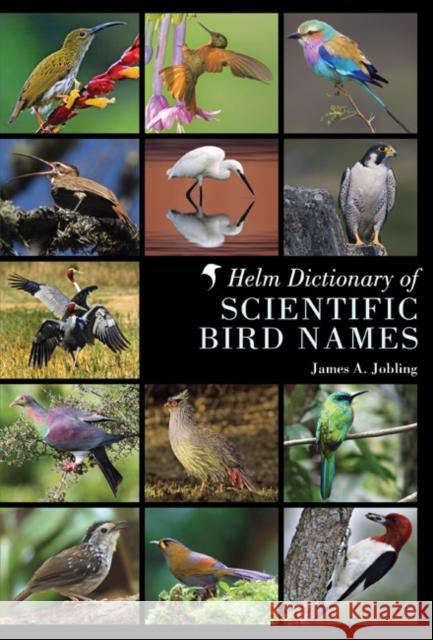 Helm Dictionary of Scientific Bird Names James A. Jobling 9781408125014