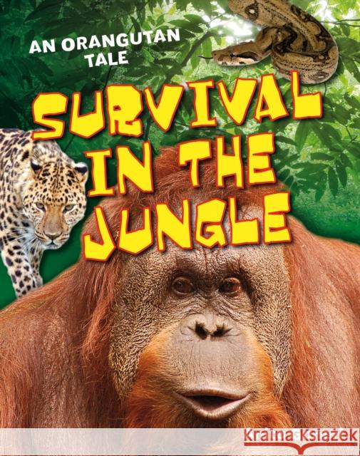 Survival in the Jungle: Age 6-7, above average readers Anita Ganeri 9781408133613 Bloomsbury Publishing PLC
