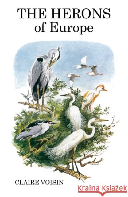 The Herons of Europe Claire Voisin 9781408136652 Bloomsbury Publishing PLC