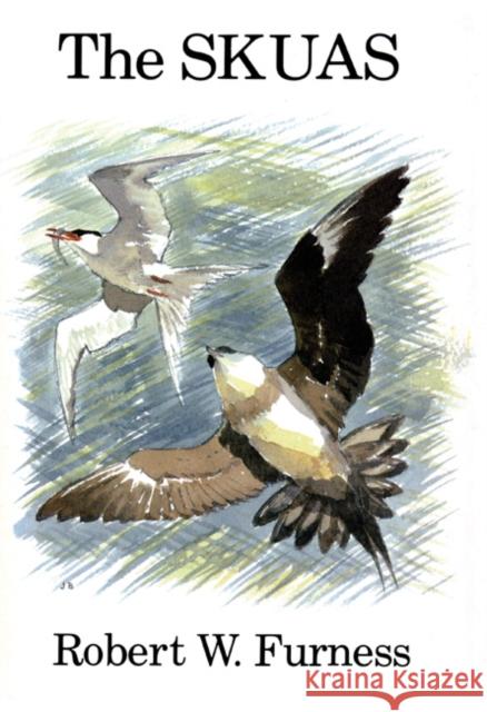 The Skuas Robert W. Furness 9781408136690 Bloomsbury Publishing PLC