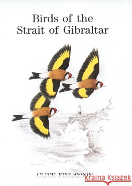 Birds of the Strait of Gibraltar Prof. Clive Finlayson 9781408136959 Bloomsbury Publishing PLC