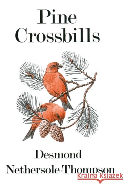 Pine Crossbills Desmond Nethersole-Thompson 9781408137406 Bloomsbury Publishing PLC