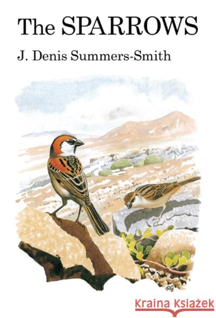 The Sparrows Denis Summers-Smith 9781408138243