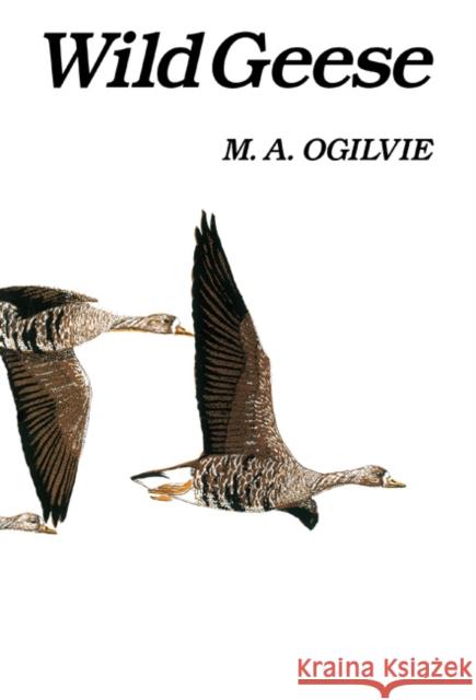 Wild Geese M. A. Ogilvie 9781408138601 Bloomsbury Publishing PLC