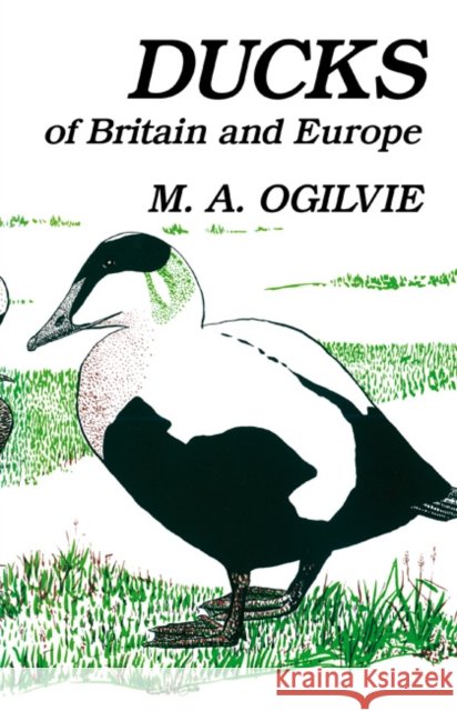 Ducks of Britain and Europe M. A. Ogilvie 9781408138632 Bloomsbury Publishing PLC