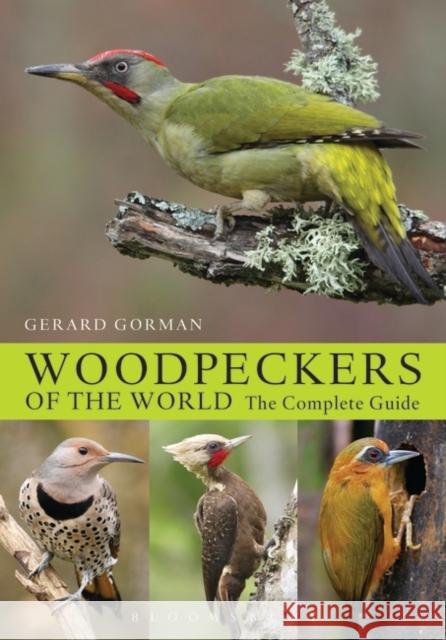 Woodpeckers of the World: The Complete Guide Gerard Gorman 9781408147153