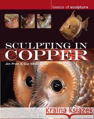 Sculpting in Copper Jim Pratt, Susan White-Oakes 9781408152430