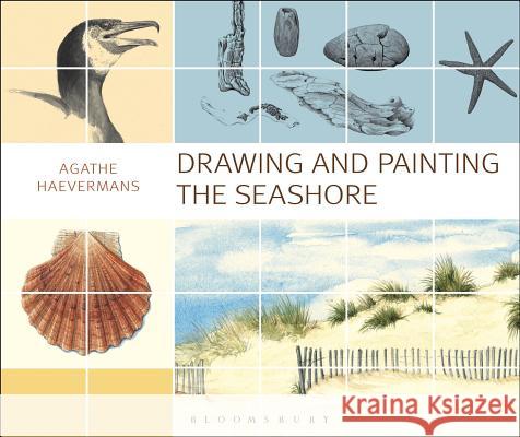 Drawing and Painting the Seashore Agathe Ravet-Haevermans 9781408184004 Bloomsbury Publishing PLC