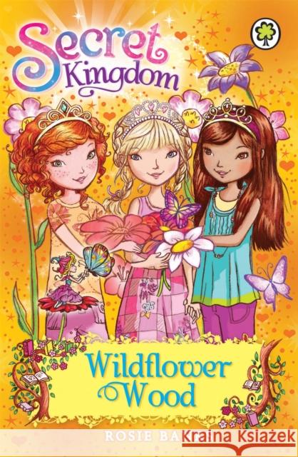 Secret Kingdom: Wildflower Wood: Book 13 Rosie Banks 9781408323380