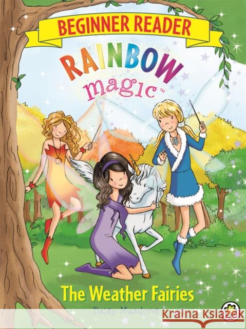 Rainbow Magic Beginner Reader: The Weather Fairies: Book 2 Daisy Meadows 9781408336366