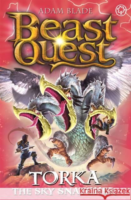 Beast Quest: Torka the Sky Snatcher: Series 23 Book 3 Adam Blade 9781408343470 Hachette Children's Group