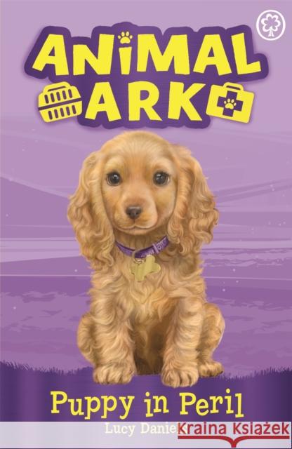 Animal Ark, New 4: Puppy in Peril: Book 4 Lucy Daniels 9781408354049