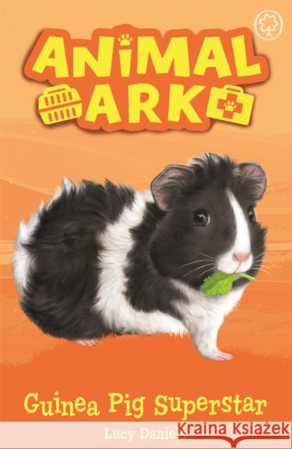 Animal Ark, New 7: Guinea Pig Superstar: Book 7 Lucy Daniels 9781408354100 Hachette Children's Group