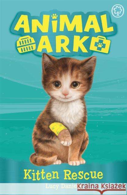 Animal Ark, New 1: Kitten Rescue: Book 1 Lucy Daniels 9781408354148 Animal Ark